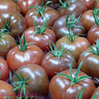 Skiepytas Pomidoras Sacher