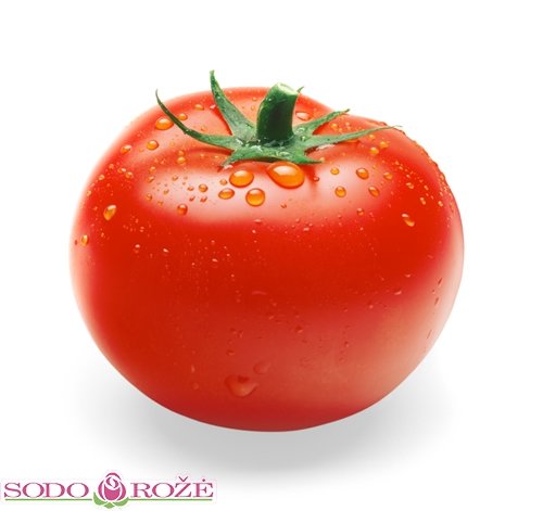 Skiepytas pomidoras Elvirado