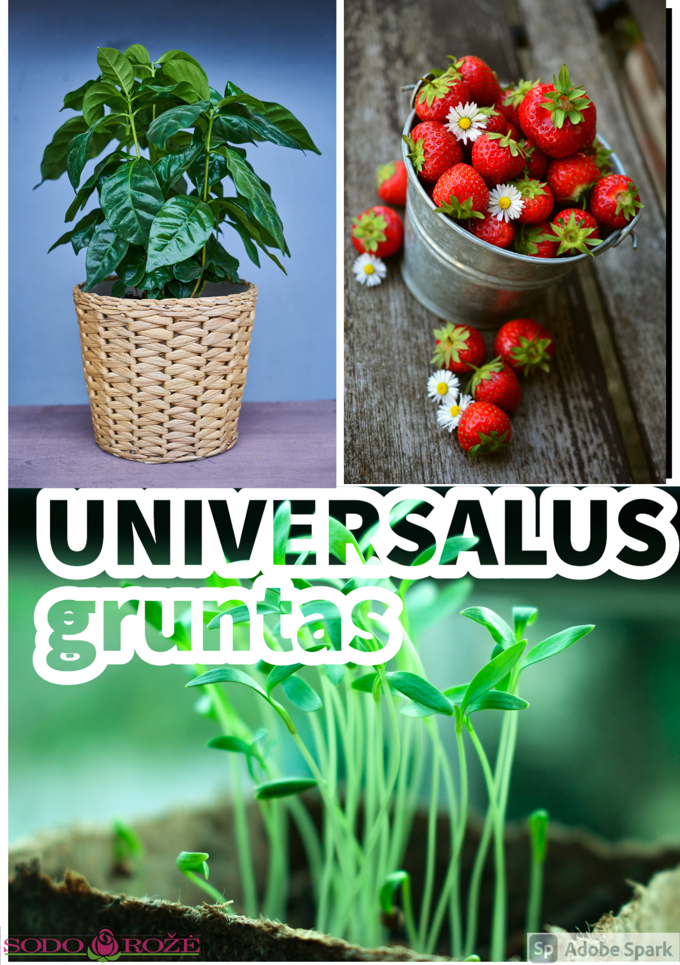 UNIVERSALUS GRUNTAS 40L