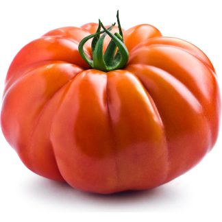 Skiepytas pomidoras Coeur de Boeuf