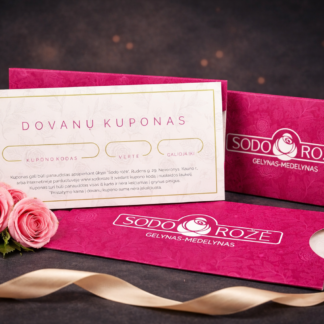 Dovanų kuponas 100 EUR vertės